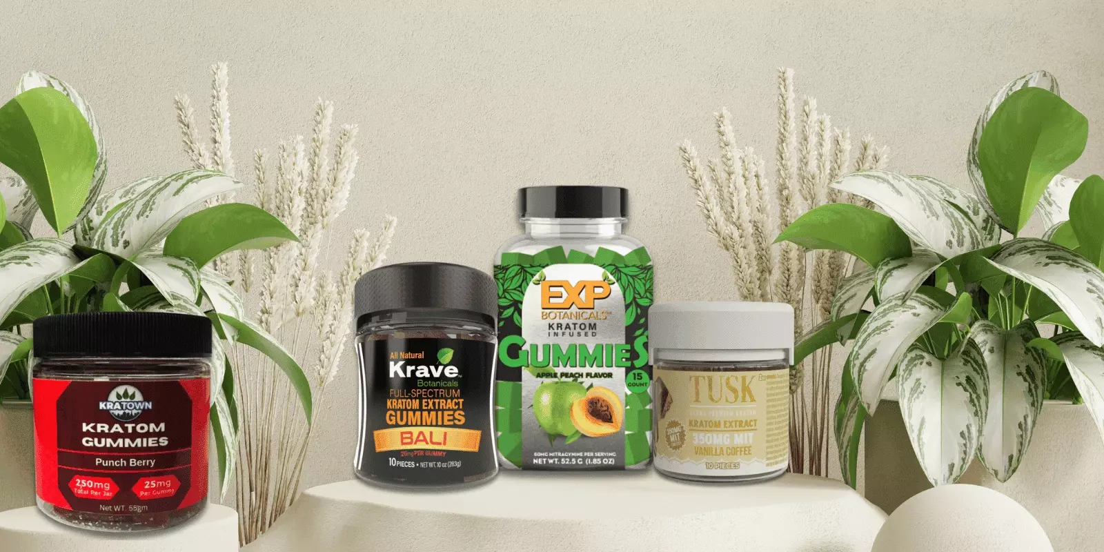 Best Kratom Gummies Of 2025: Top Picks You Must Consider Investing In